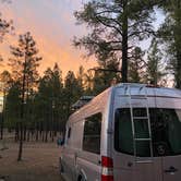 Review photo of Pumphouse Wash (FR 237) Dispersed Camping Area by Darya K., January 11, 2021