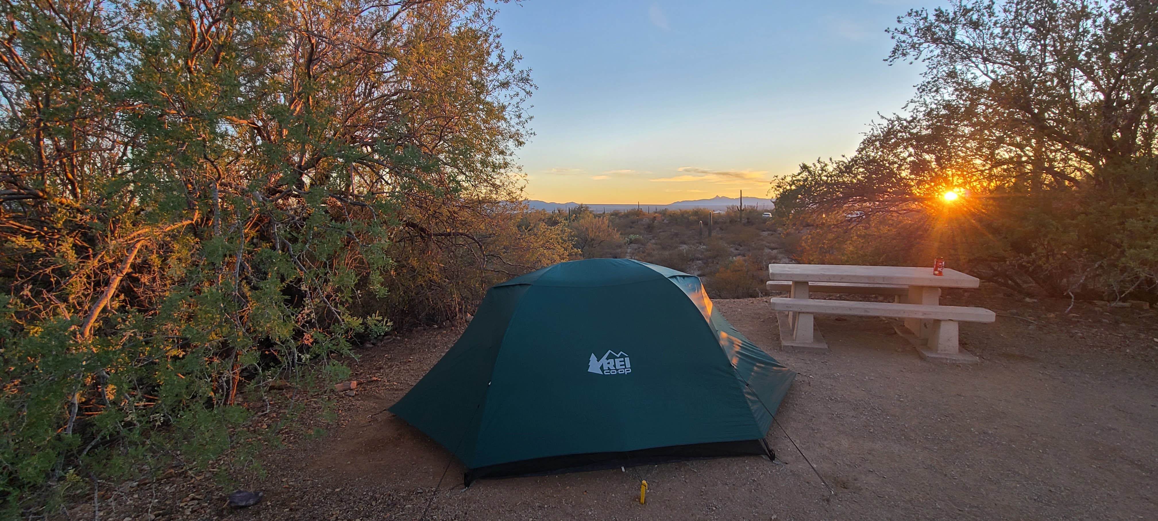 Camper-submitted photo at Gilbert Ray Campground in Arizona