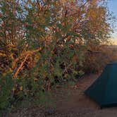 Review photo of Gilbert Ray Campground by Melissa W., January 11, 2021