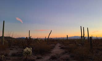 Camping near Desert Trails RV Park - Adult-only Resort: Gilbert Ray Campground, Cortaro, Arizona