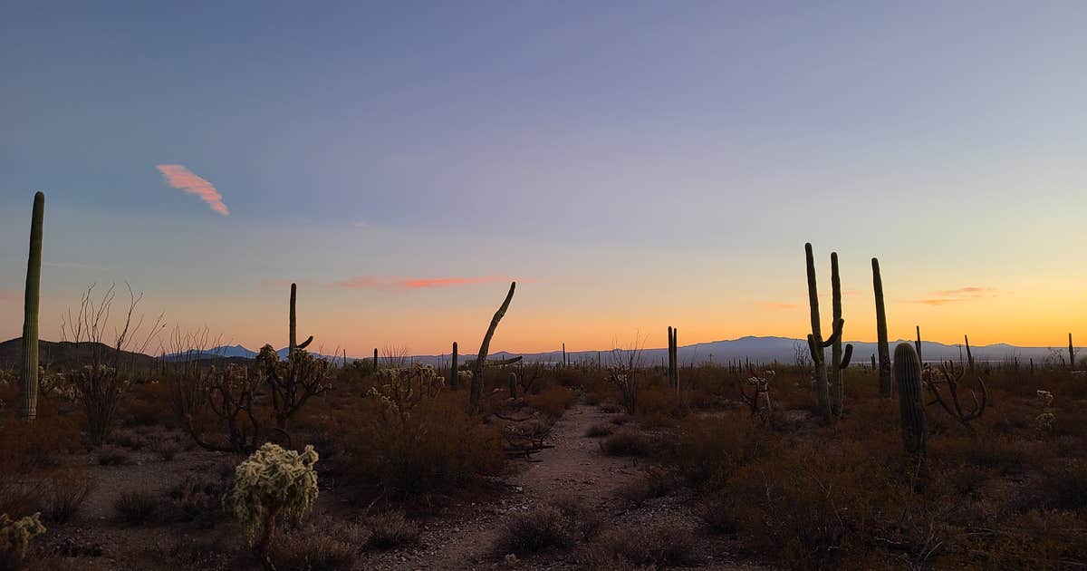 Gilbert Ray Campground