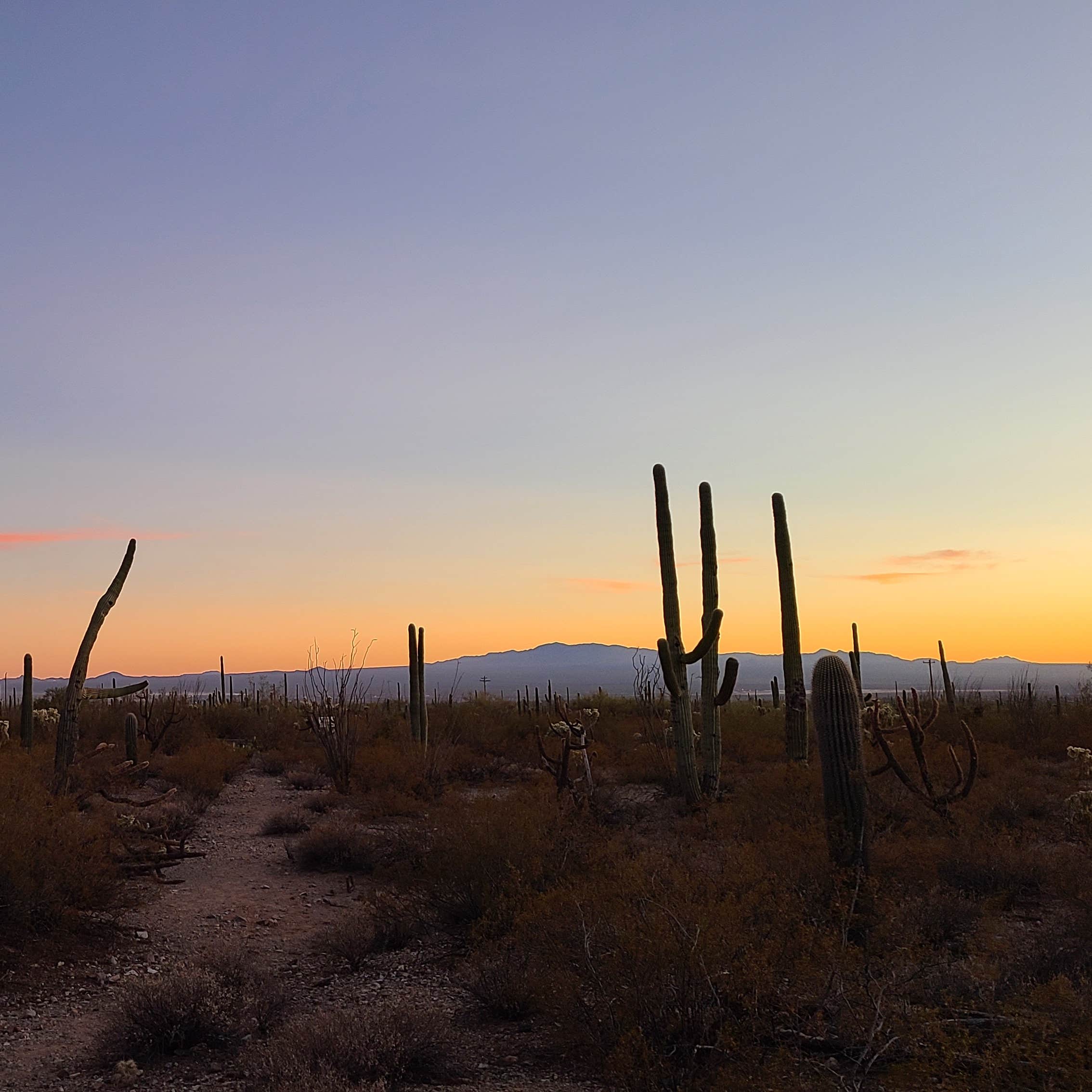 Gilbert Ray Campground