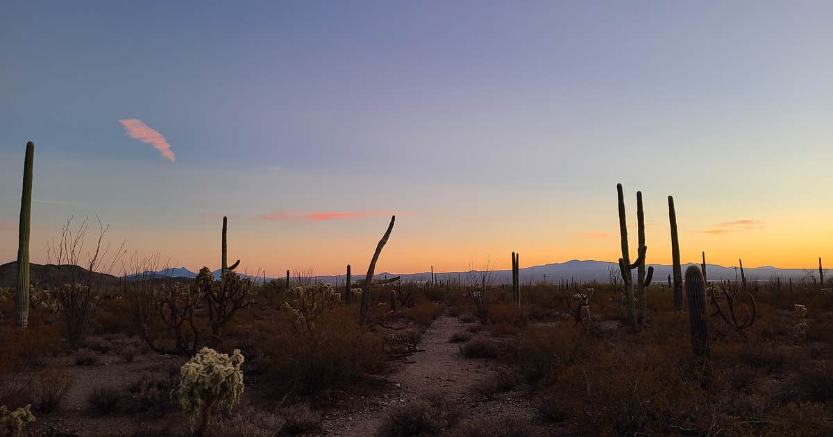 Gilbert Ray Campground