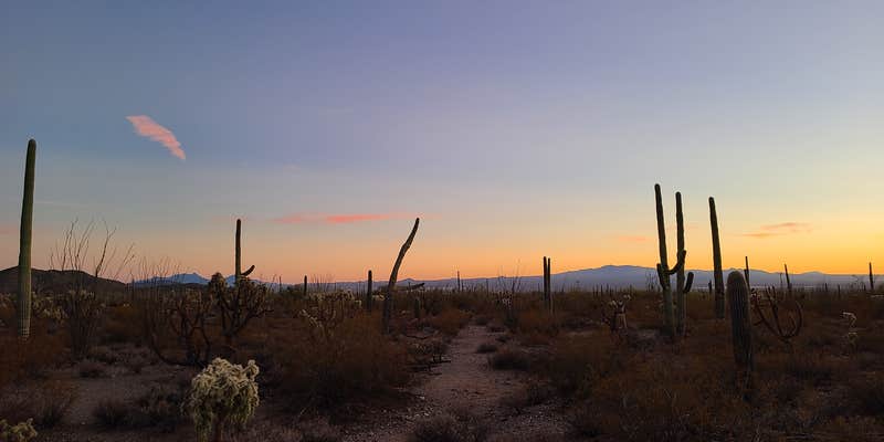 Camper submitted image from Gilbert Ray Campground