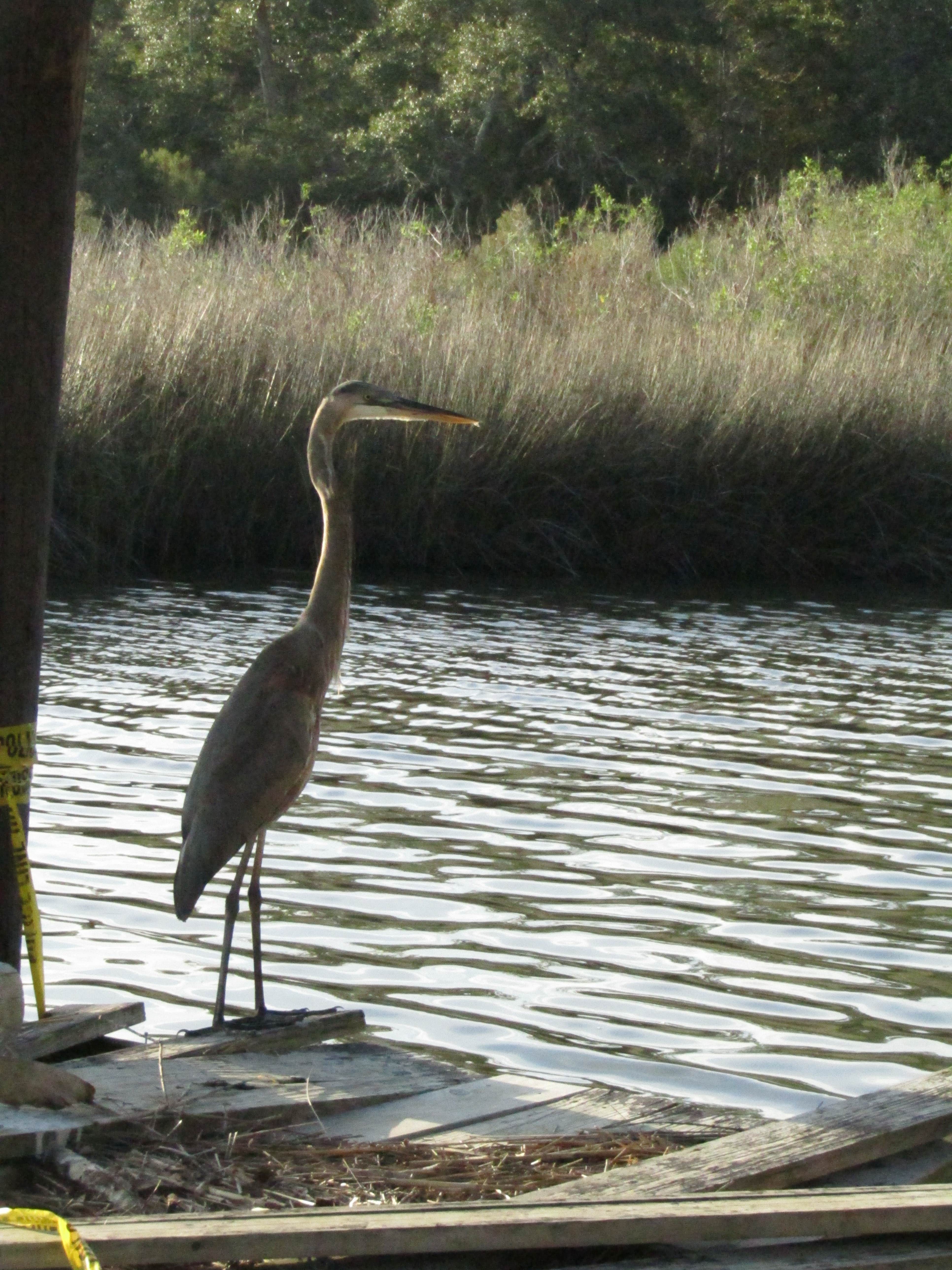 Old building at the boat launch