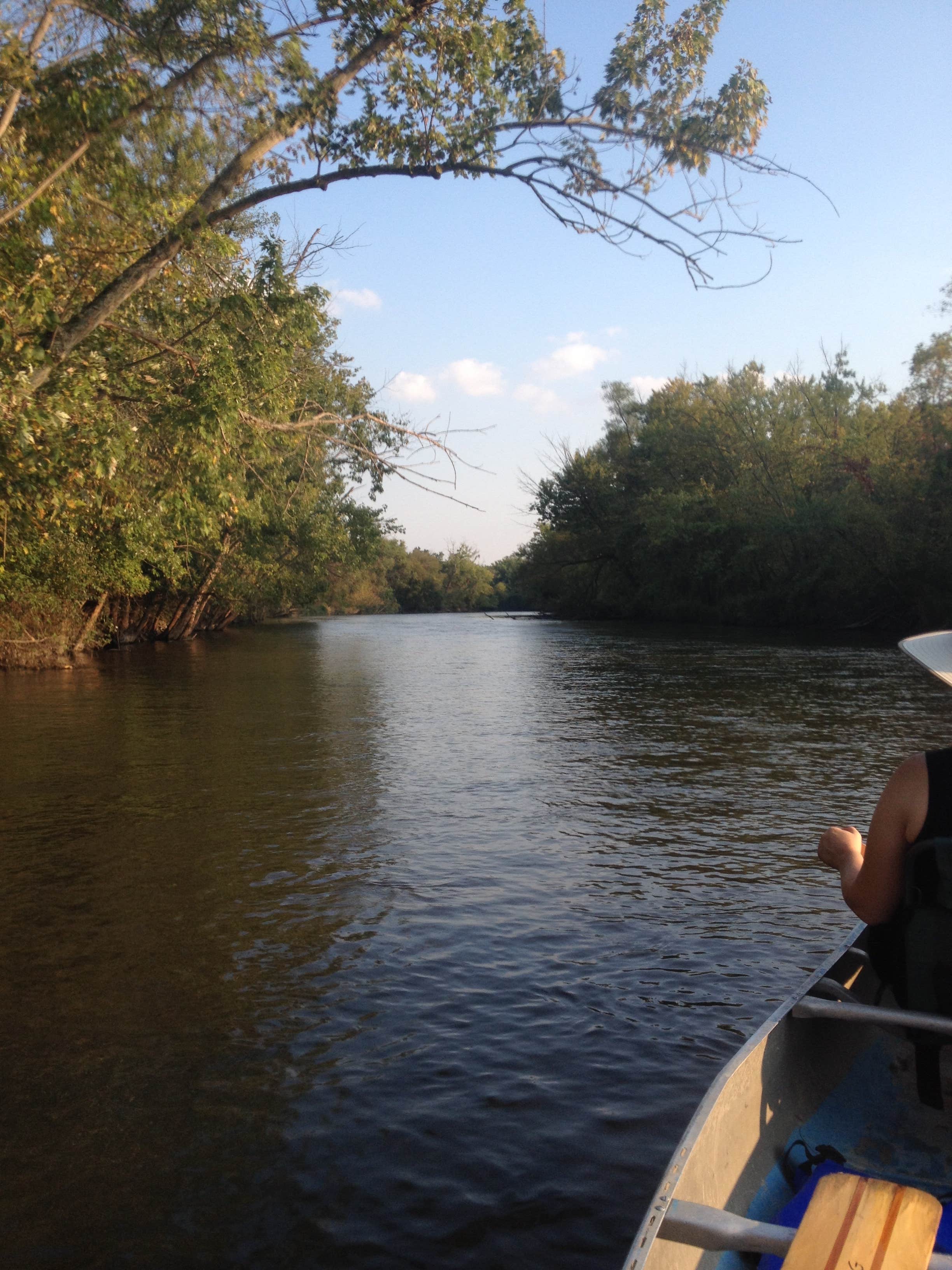 Camper submitted image from Sugar River Forest Preserve - 1