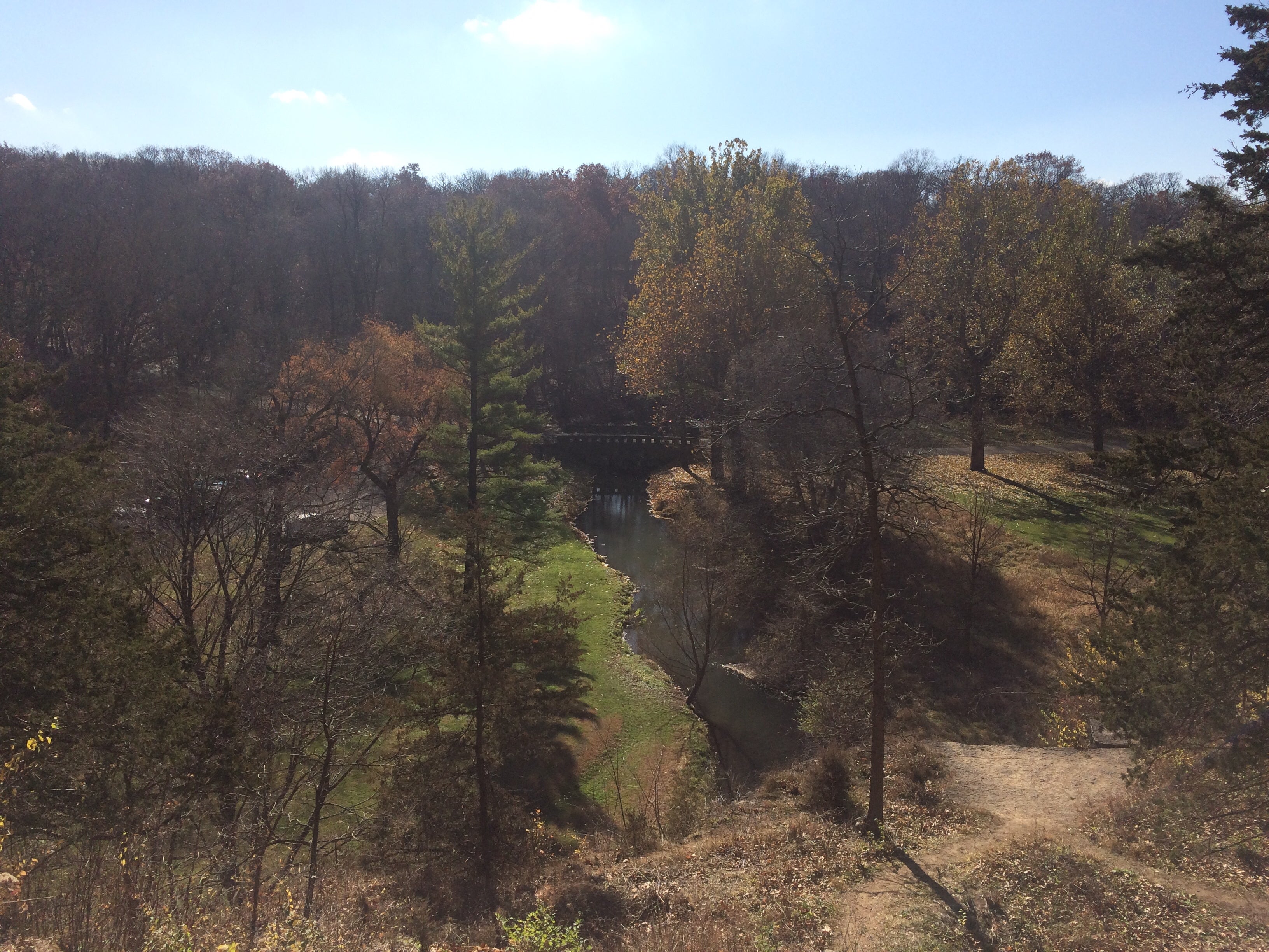 Camper submitted image from Seward Bluffs Forest Preserve - 1