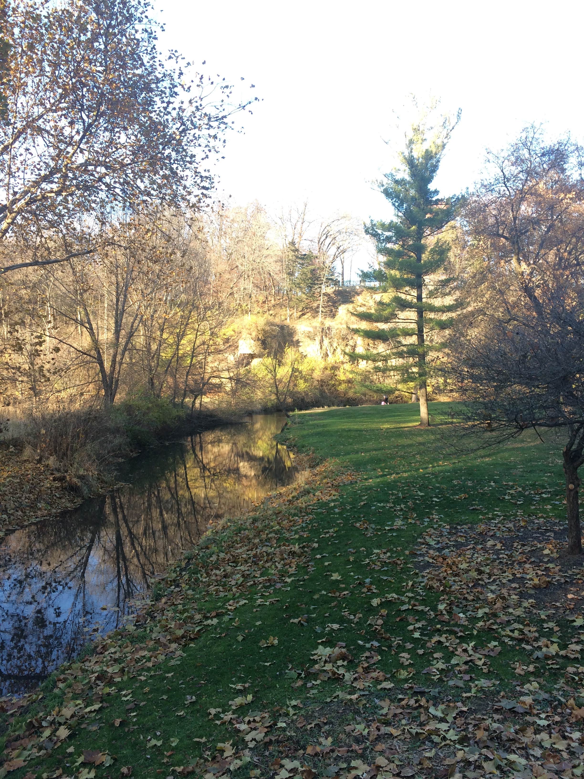 Camper-submitted photo at Seward Bluffs Forest Preserve near Mount Morris, IL