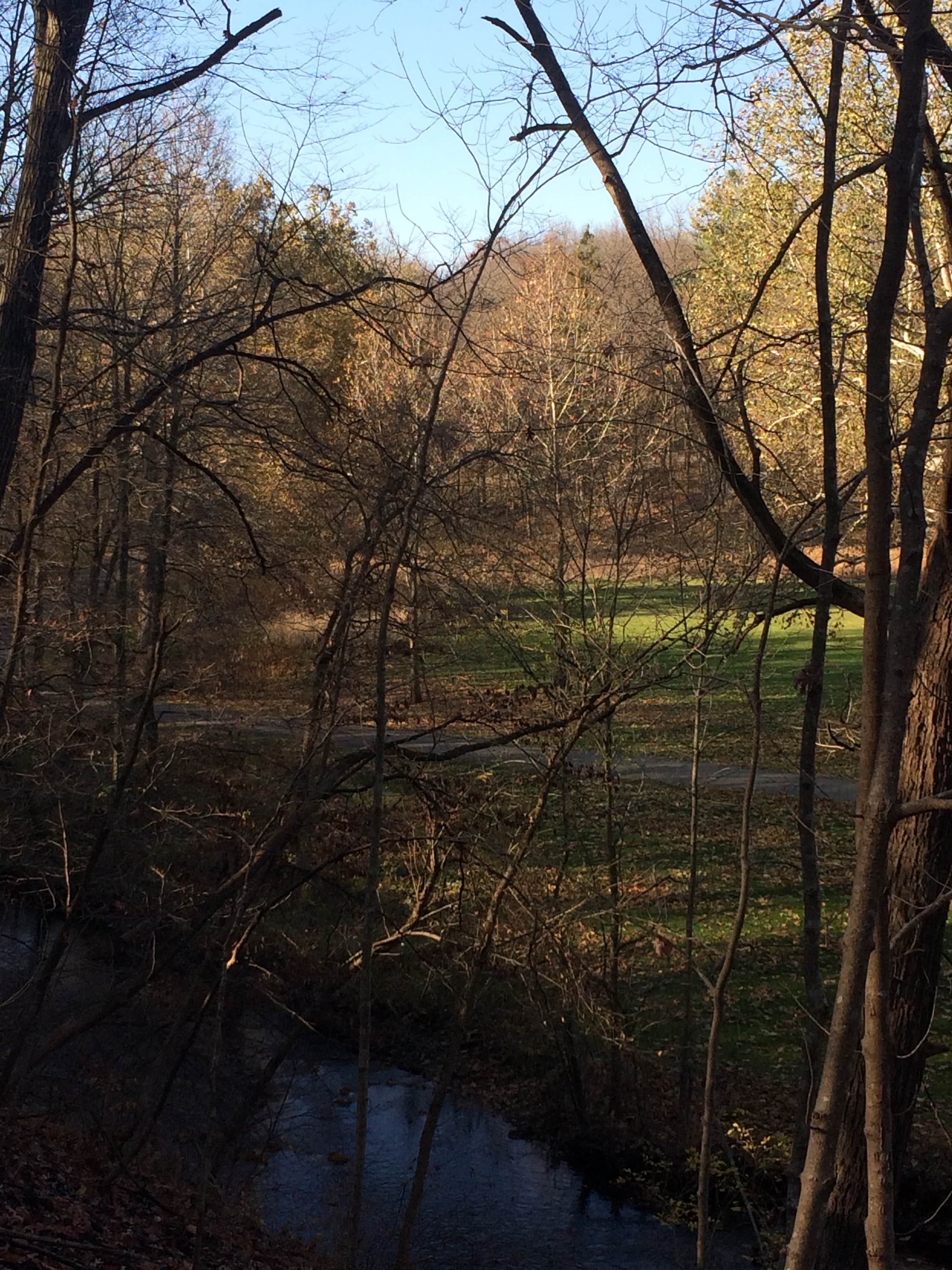 Camper-submitted photo at Seward Bluffs Forest Preserve near Mount Morris, IL