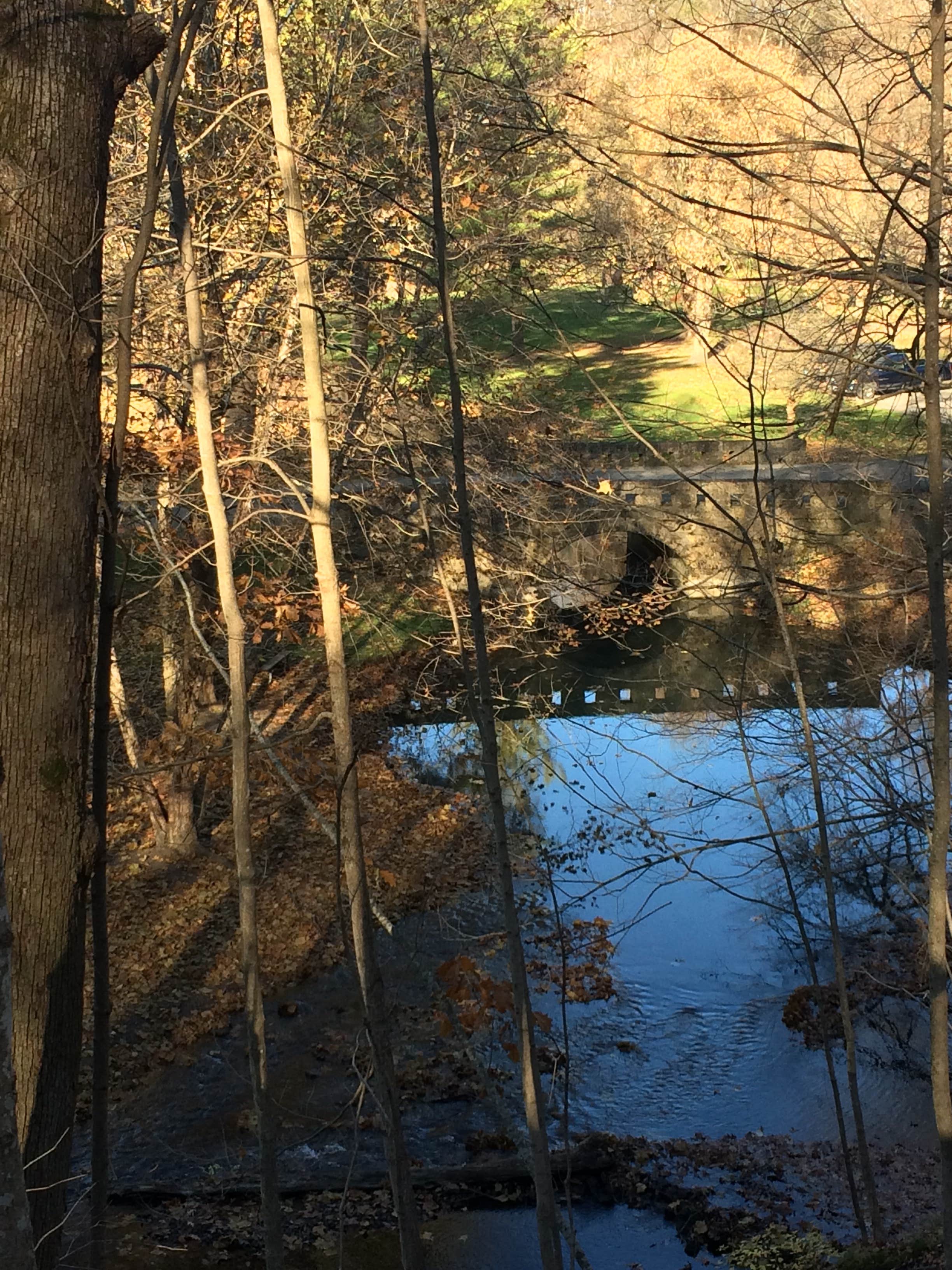 Camper-submitted photo at Seward Bluffs Forest Preserve near Mount Morris, IL
