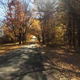 Review photo of Seward Bluffs Forest Preserve by Brian O., November 12, 2020