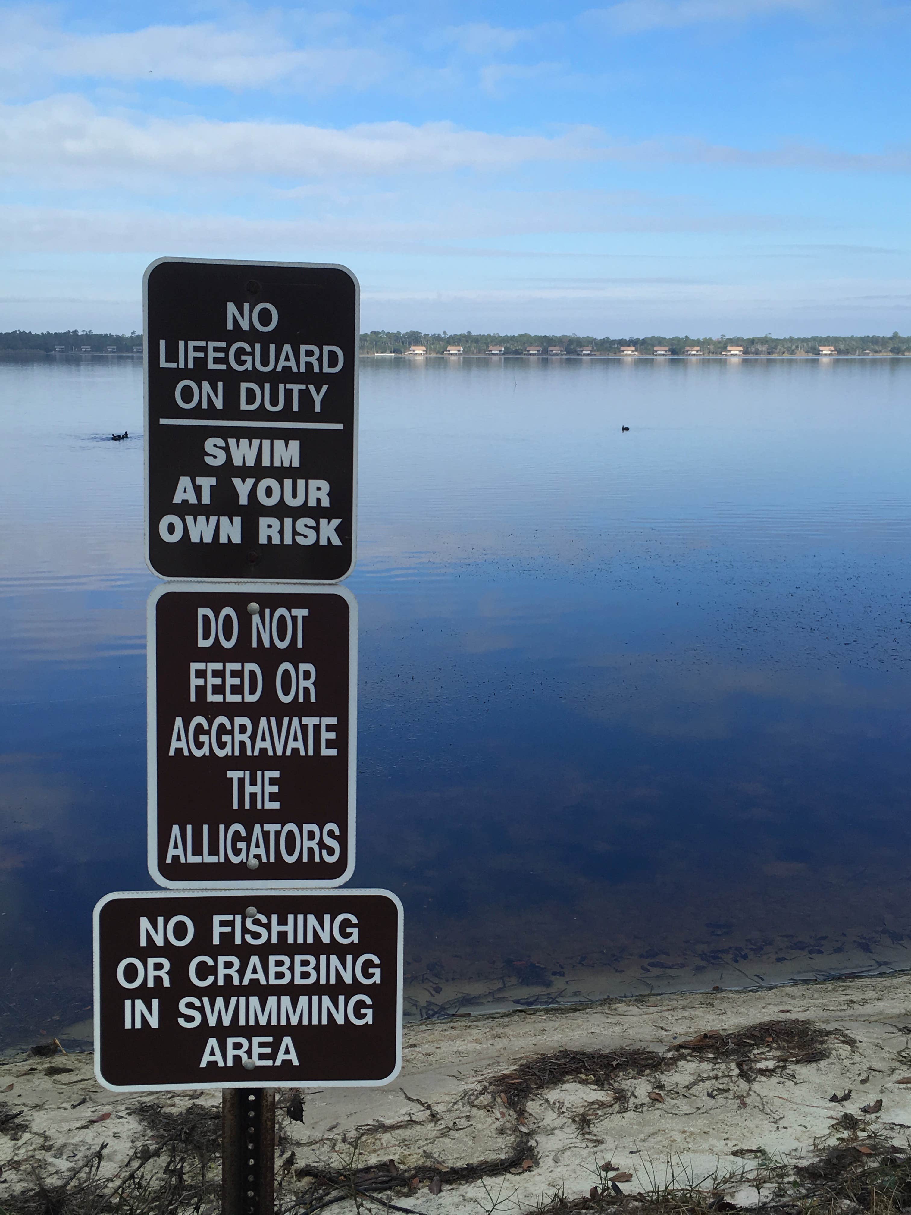 Camper submitted image from Gulf State Park Campground - 5