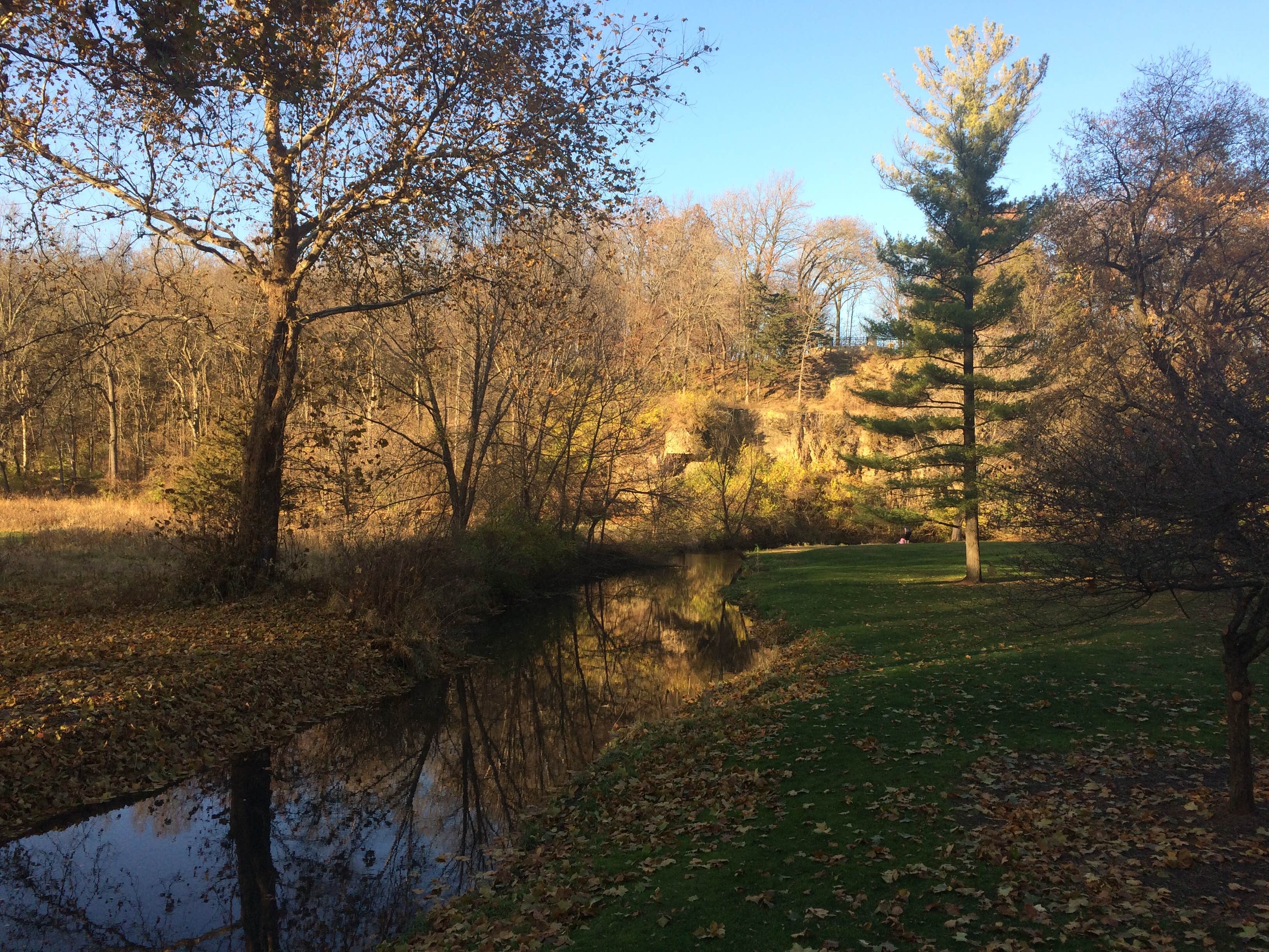 Camper-submitted photo at Seward Bluffs Forest Preserve near Mount Morris, IL
