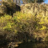 Review photo of Seward Bluffs Forest Preserve by Brian O., November 12, 2020