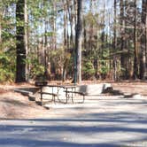 Review photo of Moro Bay State Park Campground by Steve S., September 20, 2020