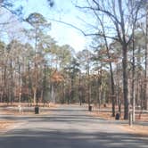 Review photo of Moro Bay State Park Campground by Steve S., September 20, 2020