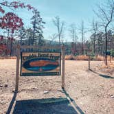 Review photo of Lake Ouachita State Park Campground by Billy , January 12, 2021