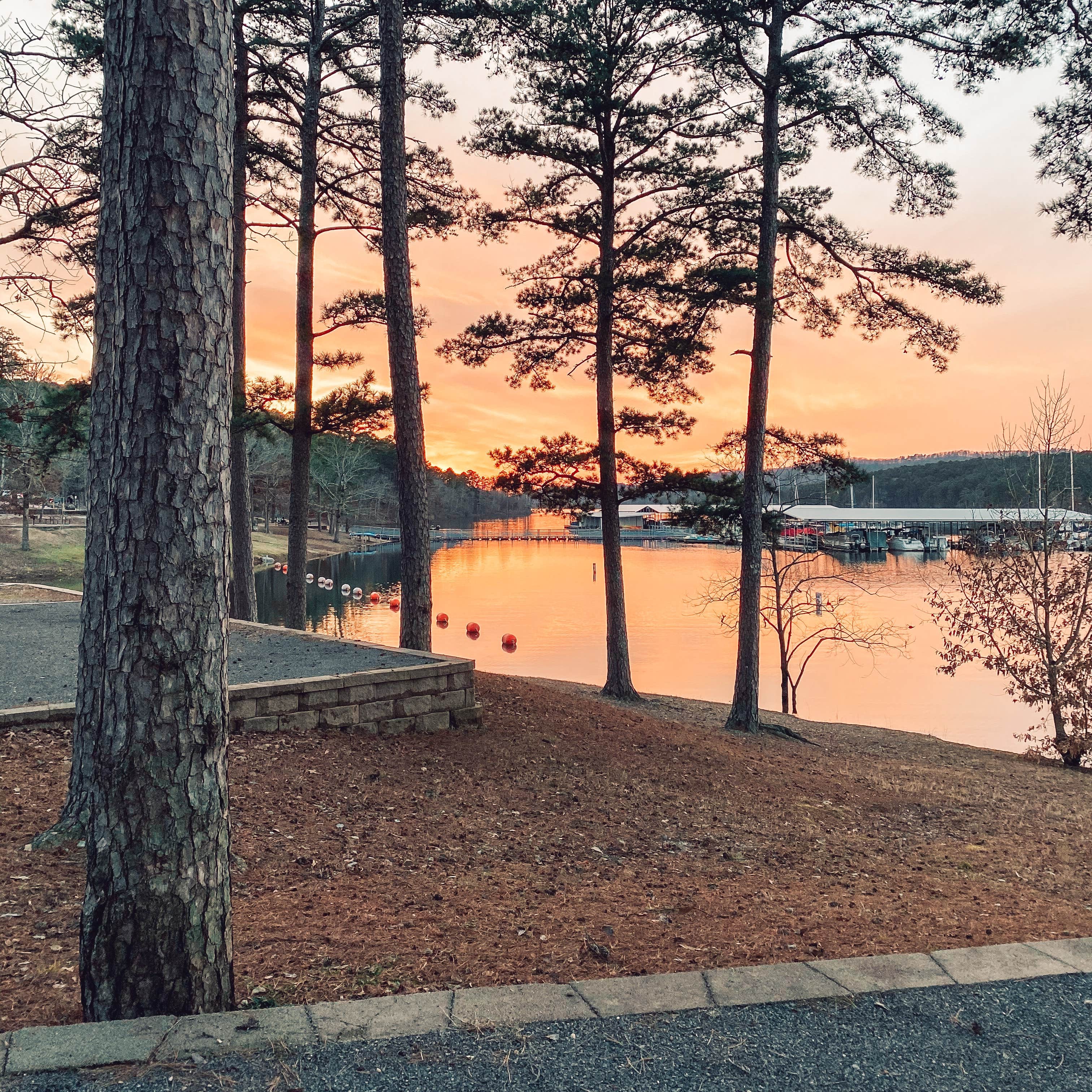 Lake Ouachita State Park Campground