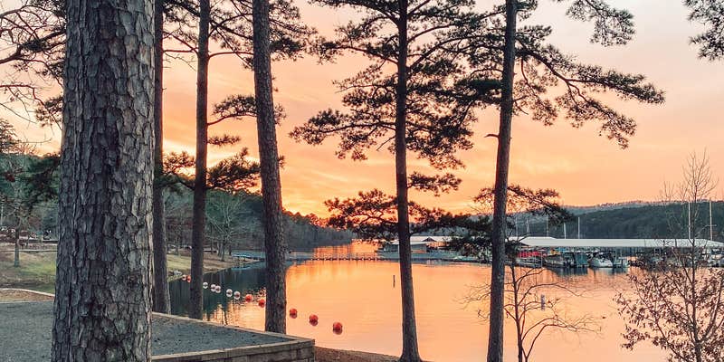 Camper submitted image from Lake Ouachita State Park Campground