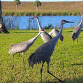 Review photo of Waters Edge Motor Coach & RV Resort by Kevin A., January 5, 2021
