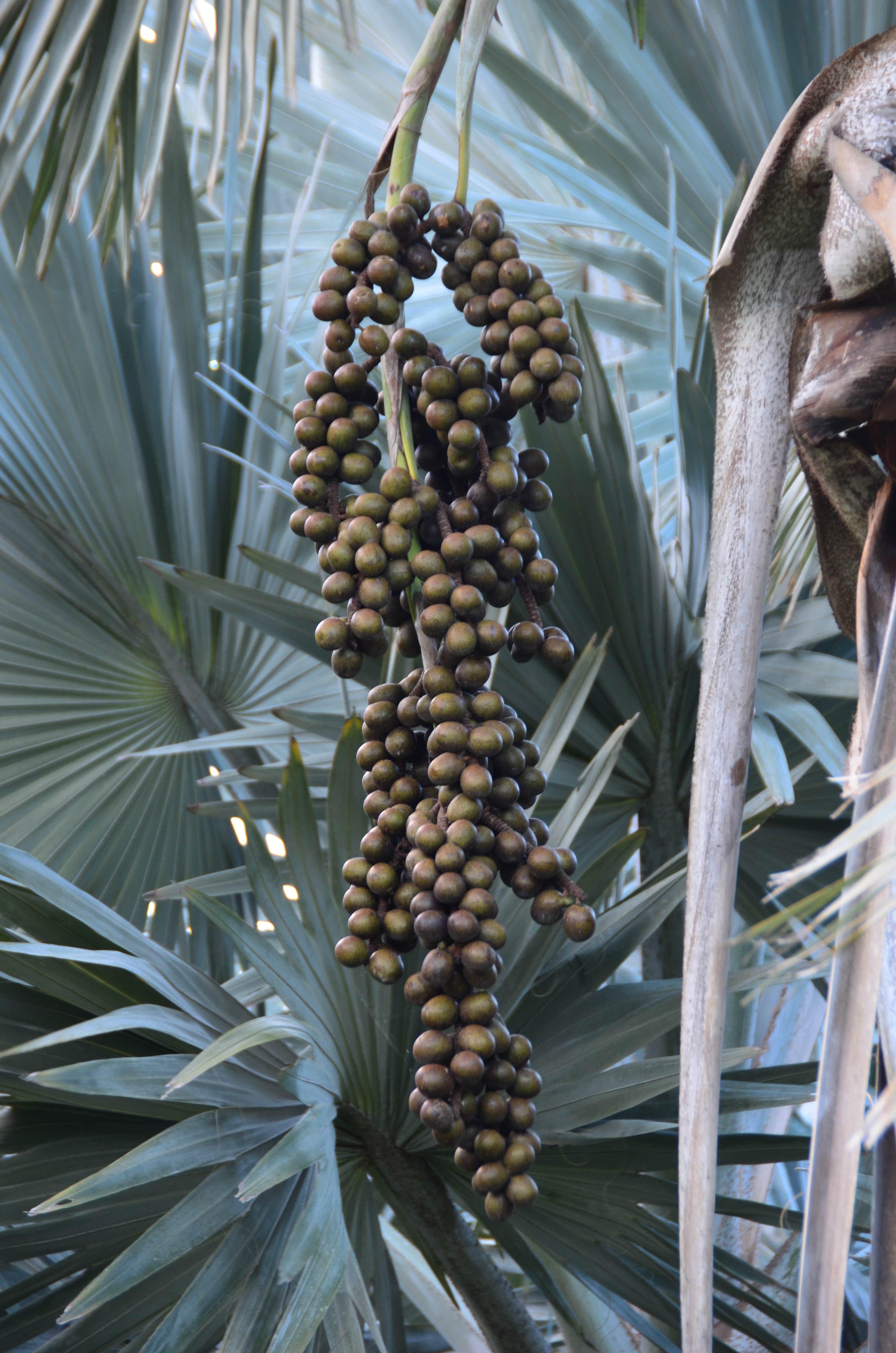 Camper-submitted photo at Waters Edge Motor Coach & RV Resort near Indiantown, FL