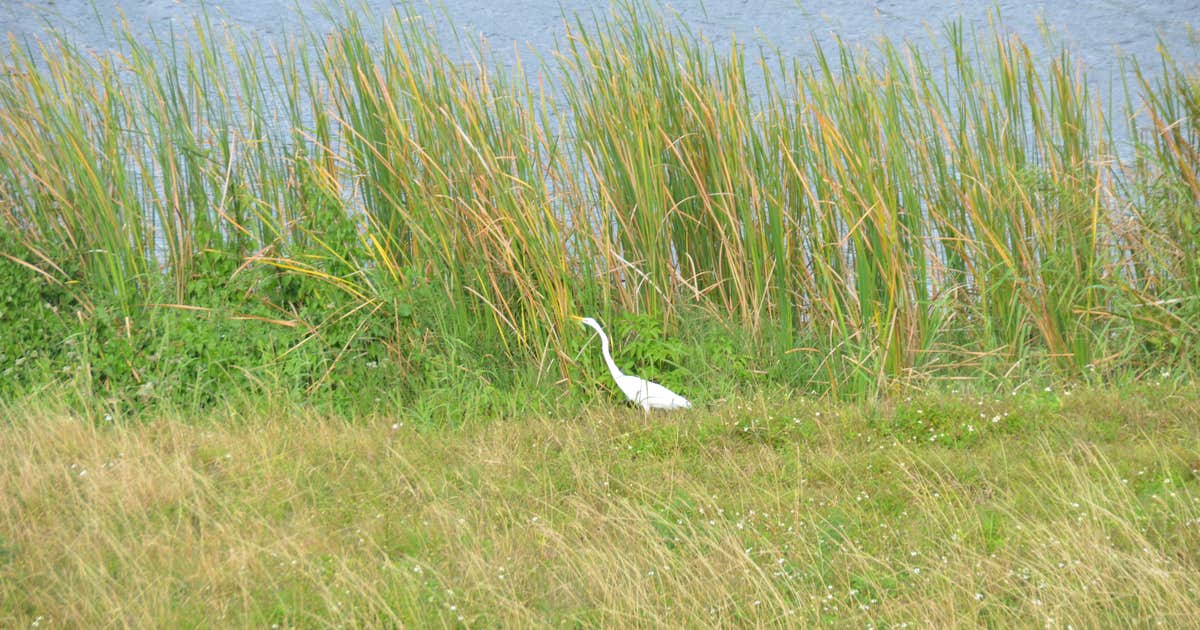 Camper Submitted Photos of Waters Edge Motor Coach RV Resort Camper Submitted Photos of Waters Edge Motor Coach RV Resort