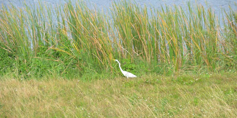 Camper submitted image from Waters Edge Motor Coach & RV Resort