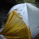 Review photo of Pine Springs Campground — Guadalupe Mountains National Park by Joel W., January 12, 2021