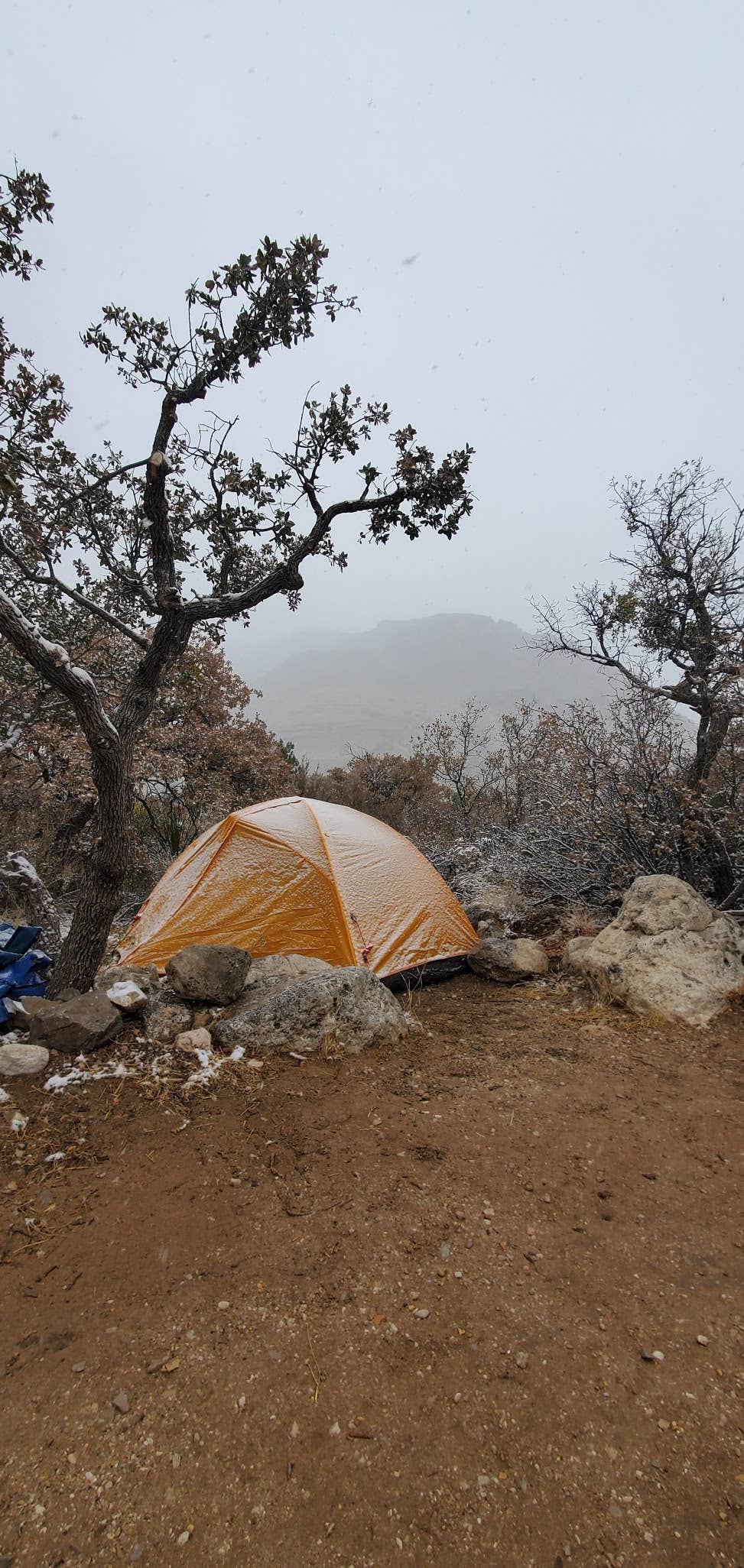 Camper submitted image from Pine Springs Campground — Guadalupe Mountains National Park - 1