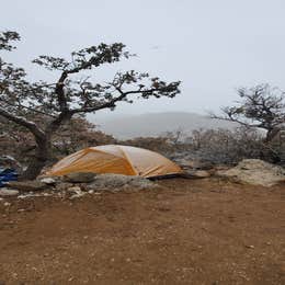 Pine Springs Campground — Guadalupe Mountains National Park