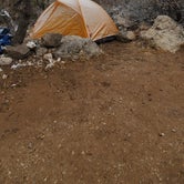 Review photo of Pine Springs Campground — Guadalupe Mountains National Park by Joel W., January 12, 2021