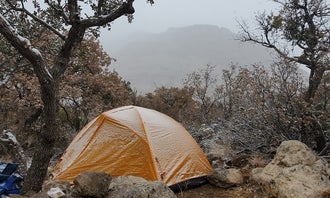 Camping near Mckittrick Ridge Wilderness Campground — Guadalupe Mountains National Park: Pine Springs Campground — Guadalupe Mountains National Park, Salt Flat, Texas