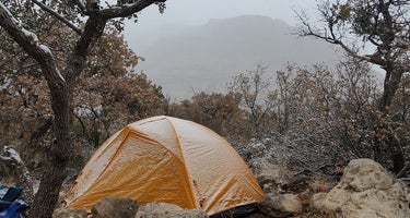 Pine Springs Campground - Guadalupe Mountains National Park