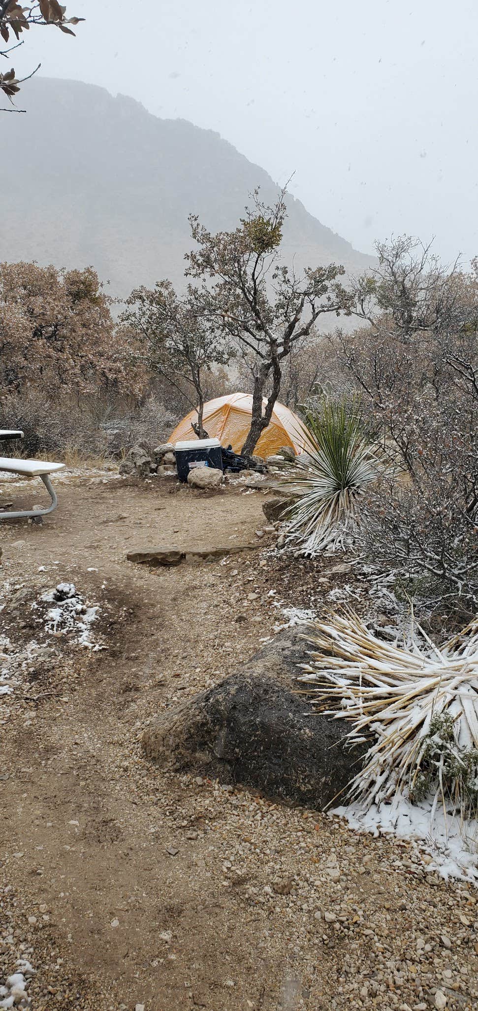 Joel W.'s photo at Pine Springs Campground — Guadalupe Mountains National Park near Salt Flat, TX
