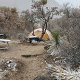 Review photo of Pine Springs Campground — Guadalupe Mountains National Park by Joel W., January 12, 2021