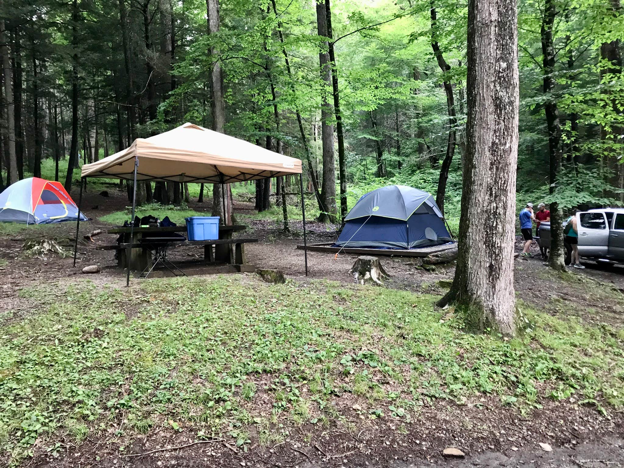 Black Mountain Campground The Dyrt