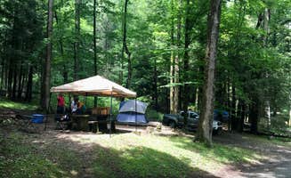 Jenna S.'s photo at Black Mountain Campground - CLOSED INDEFINITELY near Montreat, NC