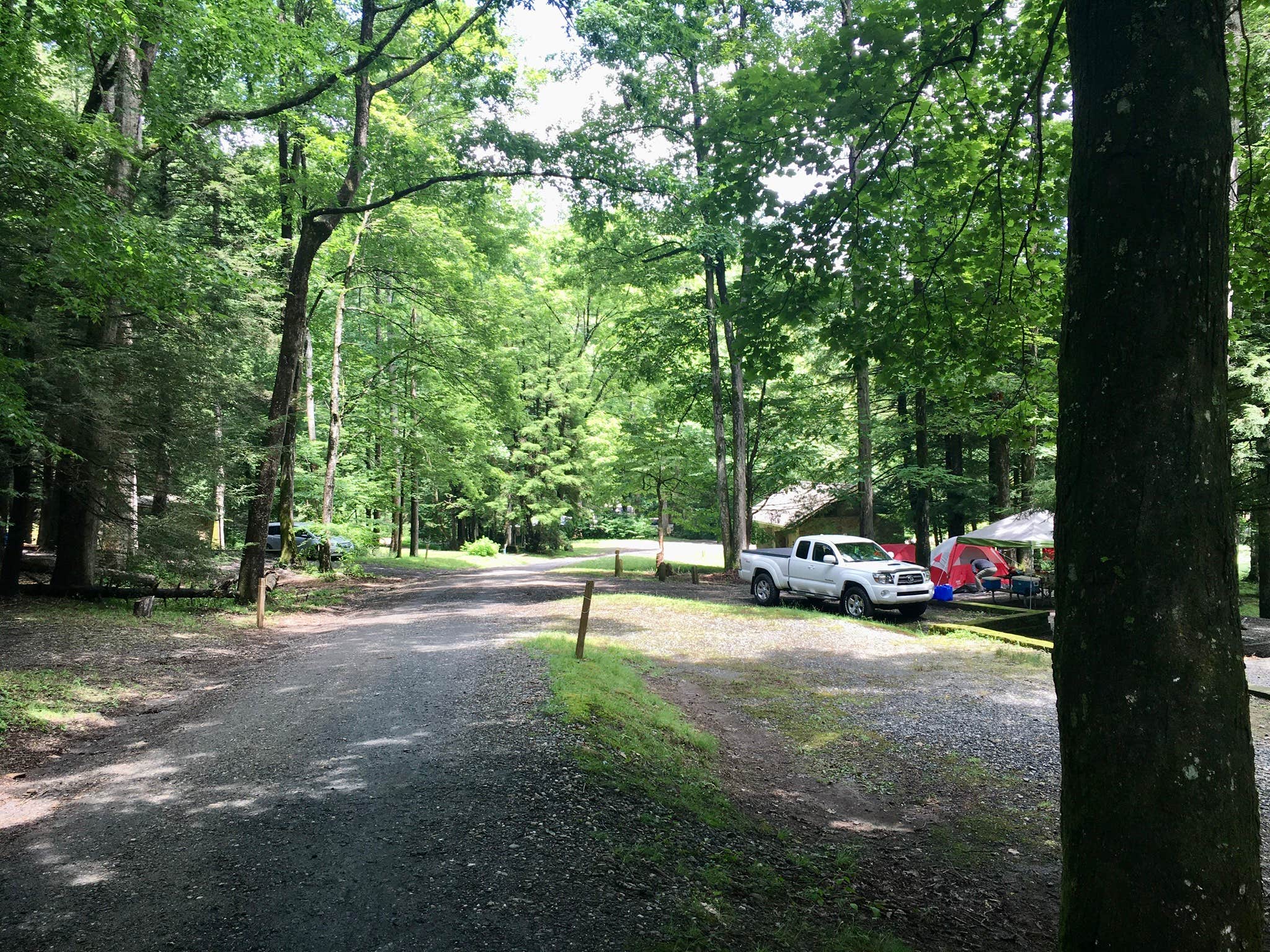 Black Mountain Campground The Dyrt