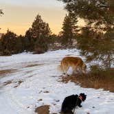 Review photo of Tom Best Spring Road FR117 Dispersed - Dixie National Forest by Morgan E., January 12, 2021