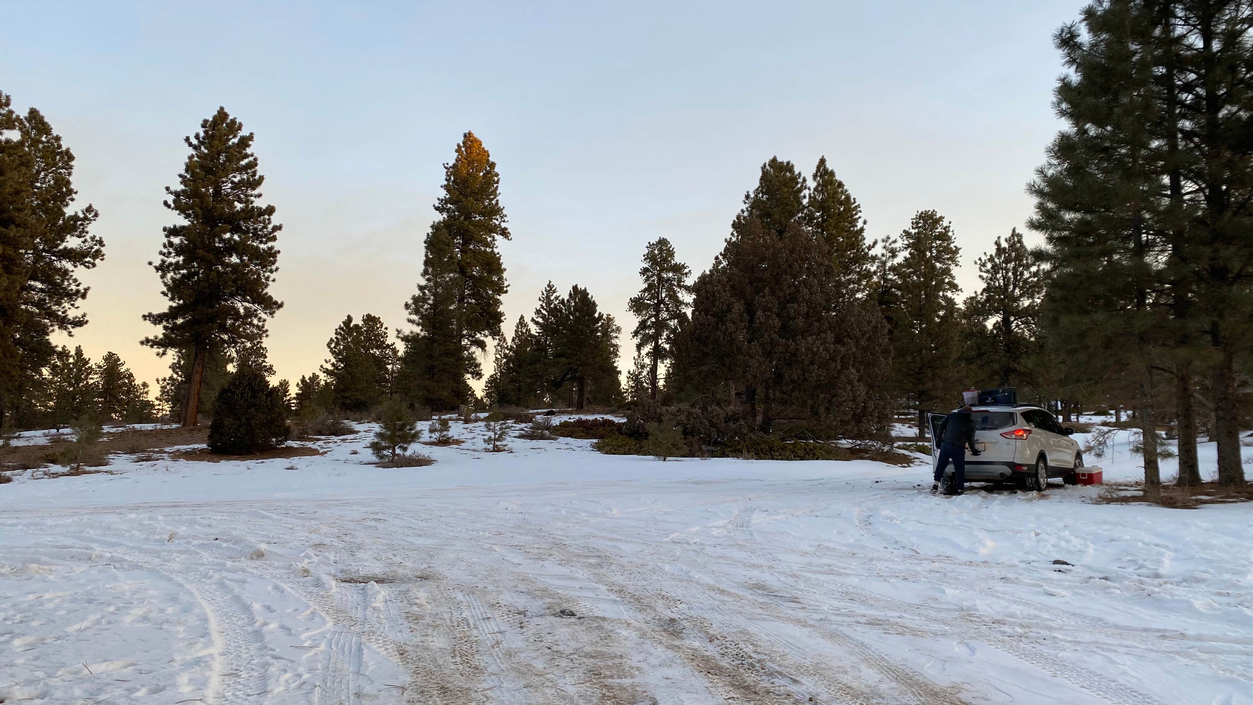 Camper-submitted photo at Tom Best Spring Road FR117 Dispersed - Dixie National Forest in Utah