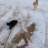 Review photo of Tom Best Spring Road FR117 Dispersed - Dixie National Forest by Morgan E., January 12, 2021