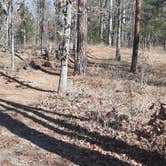 Review photo of Lake Bob Sandlin State Park Campground by Amie M., January 12, 2021