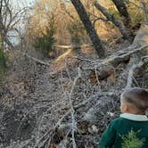 Review photo of Eisenhower State Park Campground by Amie M., January 12, 2021