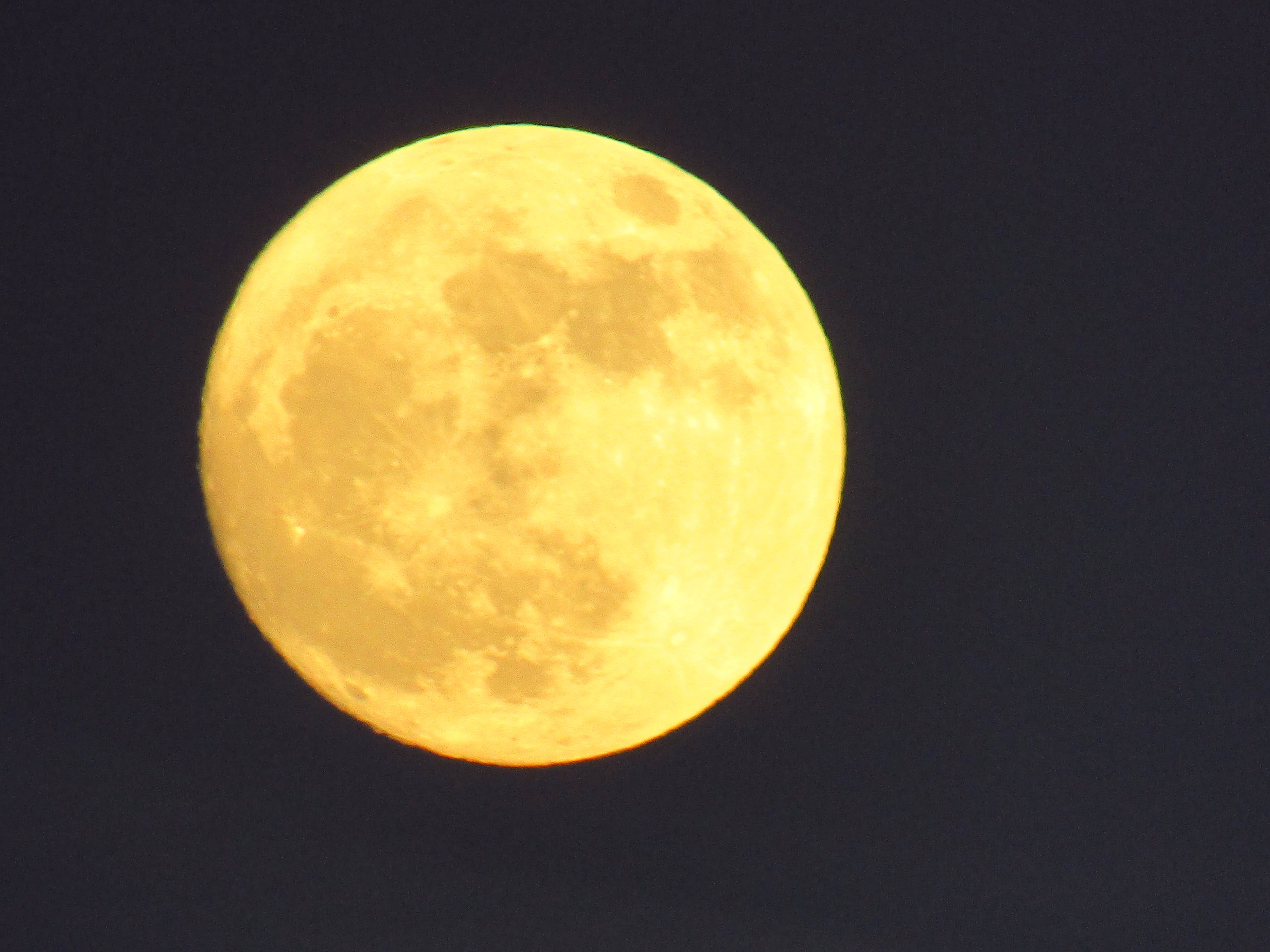 Camper-submitted photo at Gulf State Park Campground in Alabama