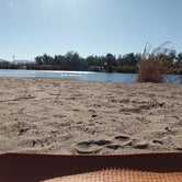 Review photo of Fortuna Pond - CLOSED by Maria M., January 12, 2021