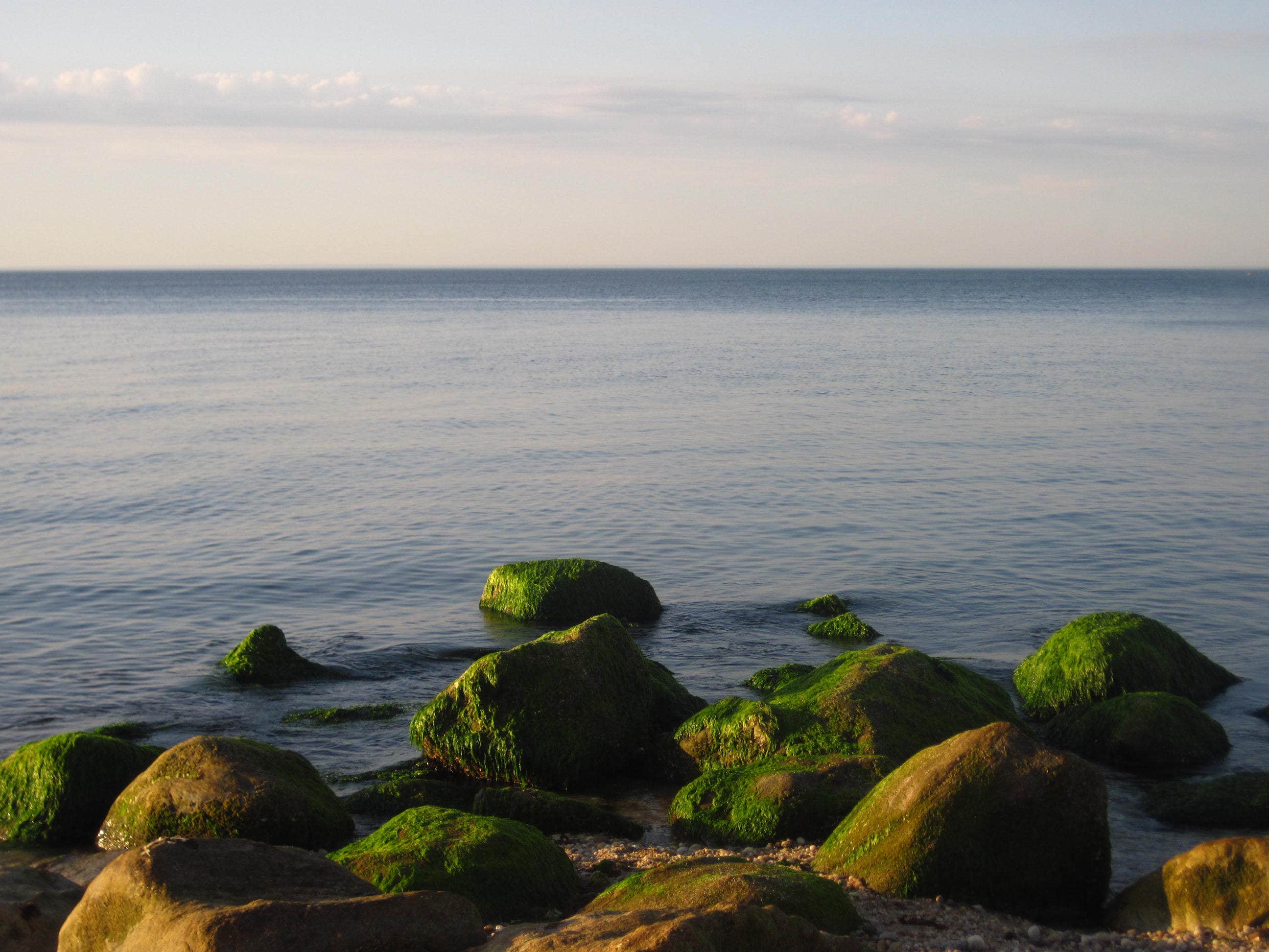 Camper-submitted photo at Wildwood State Park Campground near Greenwich, CT