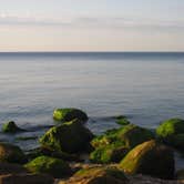 Review photo of Wildwood State Park Campground by Megan B., July 12, 2016