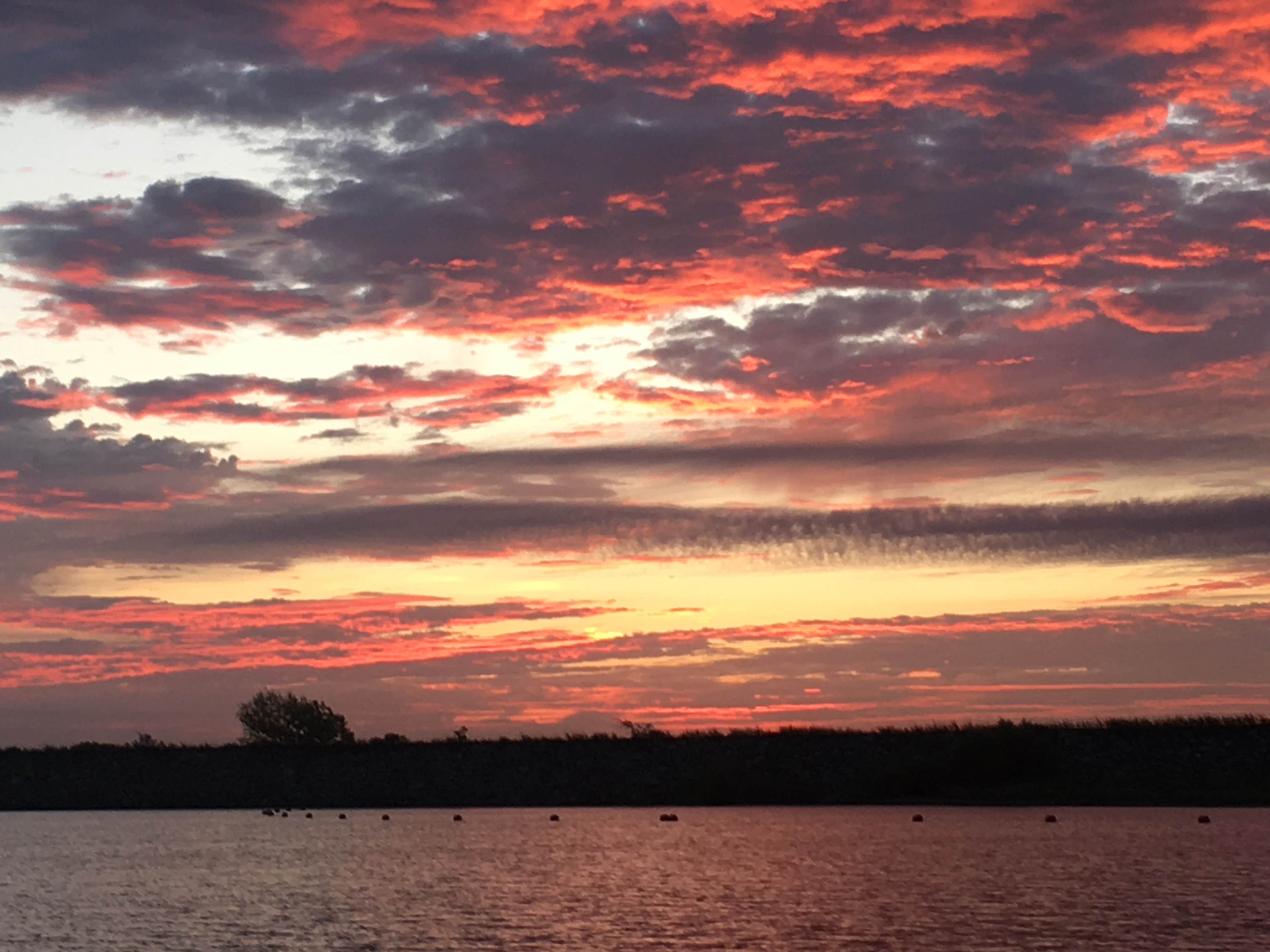 Camper submitted image from Salt Plains State Park Campground - 2