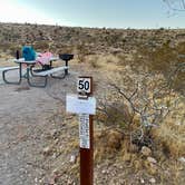 Review photo of Red Rock Canyon National Conservation Area - Red Rock Campground by Sarah S., January 12, 2021