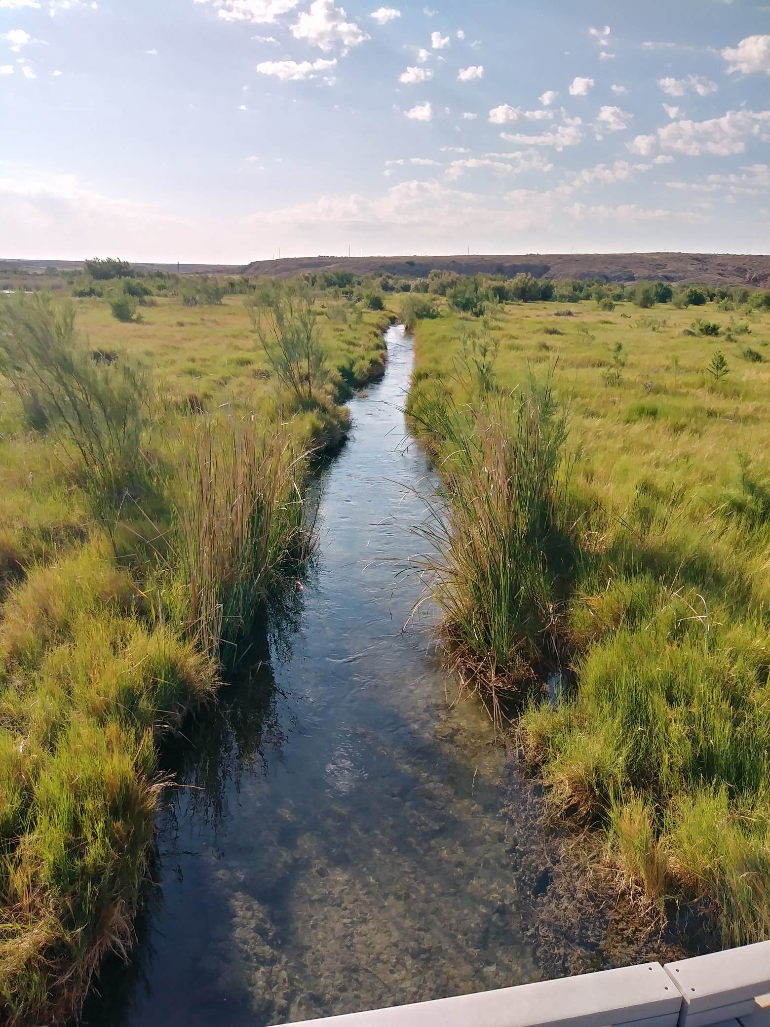 Lea Lake Campground — Bottomless Lakes State Park